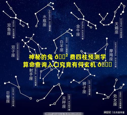 神秘的免 🌲 费四柱预测学算命查询入口究竟有何玄机 🍁